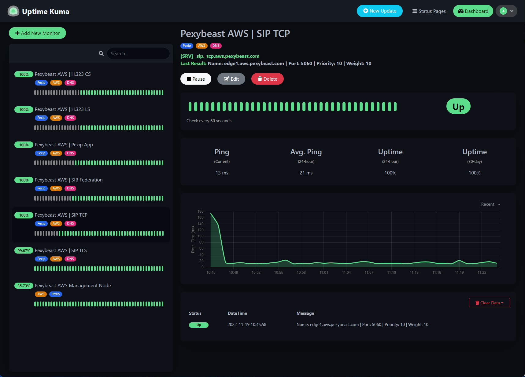 Uptime Kuma DNS monitor overview