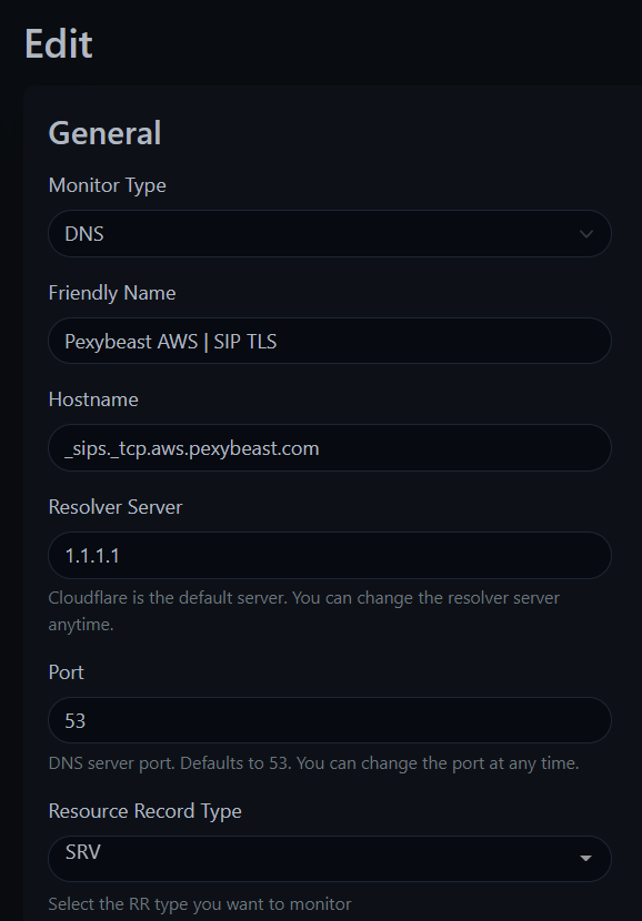 Uptime Kuma DNS monitor settings